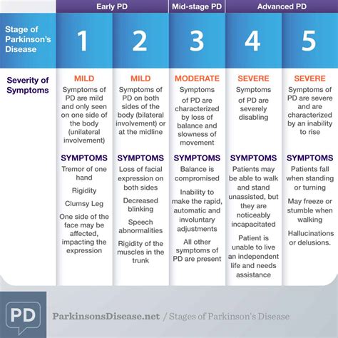 parkinson's disease end stage